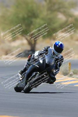 media/May-14-2023-SoCal Trackdays (Sun) [[024eb53b40]]/Turn 5 Tree of Life (1125am)/